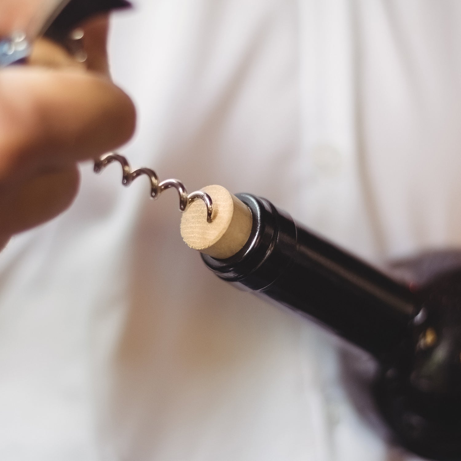 2843 Plastic Wing Corkscrew Wine Bottle Opener Simple and Stylish Wing Corkscrew Used in Kitchen Restaurant Bar DeoDap 2843 Plastic Wing Corkscrew Wine Bottle Opener Simple and Stylish Wing Corkscrew Used in Kitchen Restaurant Bar DeoDap